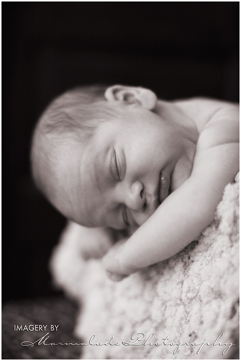 chicago-newborn-photography