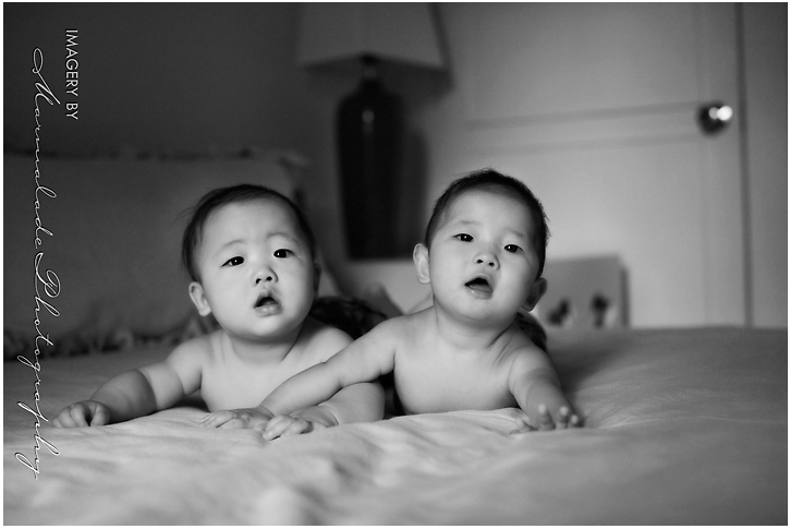 twin-child-twin-baby-photography