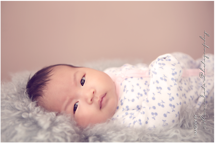 at-home-baby-photographer-chicago