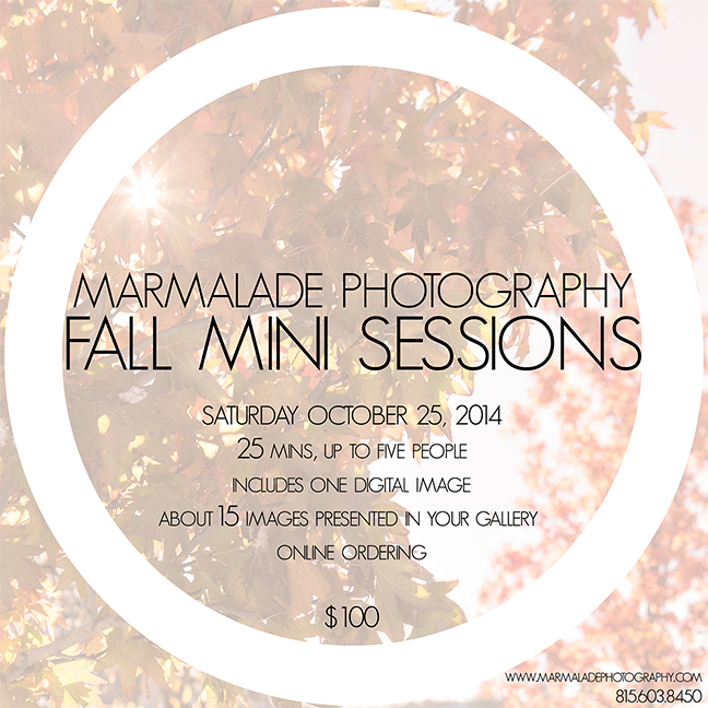 Chicago Photographer Family Children Marmalade Photography