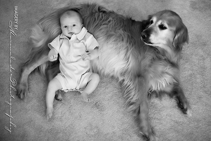 3_month_baby_photos_chicago