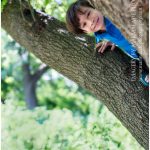 Photo of a boy peeking out from a tree branch in Chicago