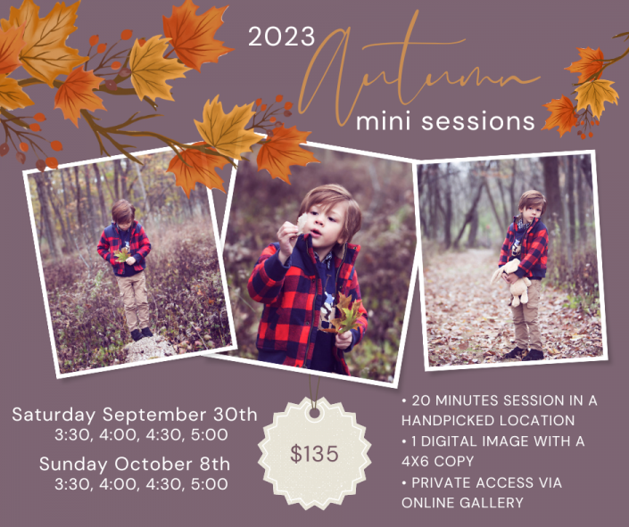 Mini session announcement for fall 2023 by area Chicago photographer Marmalade Photography