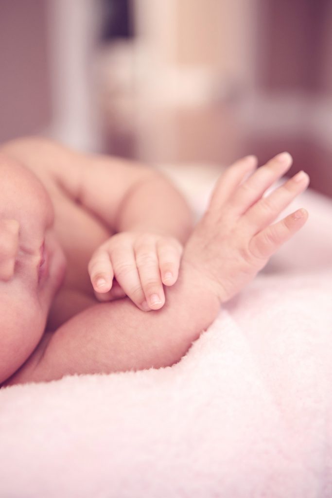 gallery image for contact page Chicago's Marmalade Photography