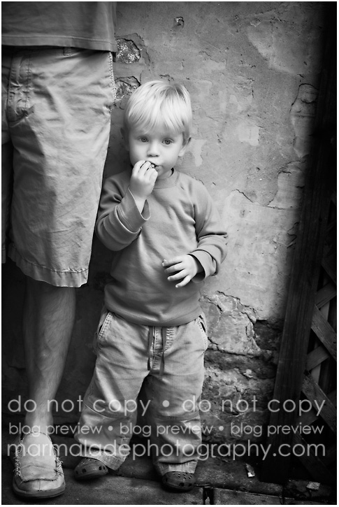 chicago child photograph