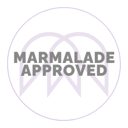 A professional photographer's guide for Best Cameras for Family Vacation 2026 by Marmalade Photography